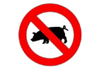 Fat people more likely to die of swine flu