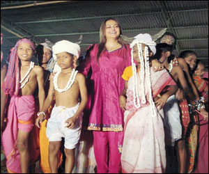 Traditional hues