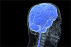 Scientists claim to have found evidence that the human brain speaks. 