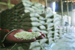 Bihar food corp ends up with chaff as rice worth Rs 535 cr vanishes from mills
